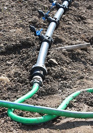 Gartentag gmüesabo 048